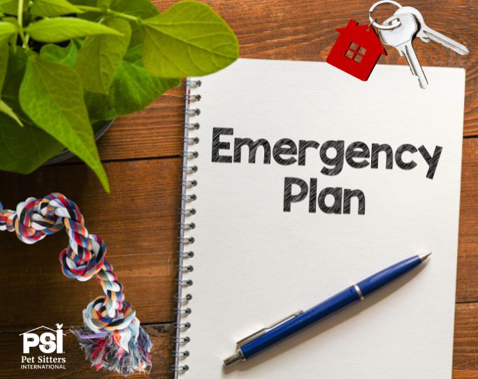 Emergency backup plan for pet sitters A copy of a pet sitter's emergency backup plan sitting on their desk