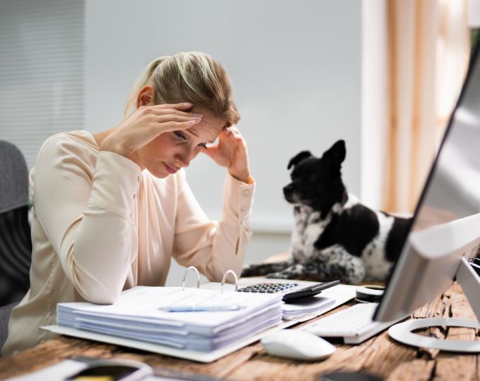 pet sitter burnout pet sitter with hands on head stressed out and looking at paperwork at desk. Dog is beside her.